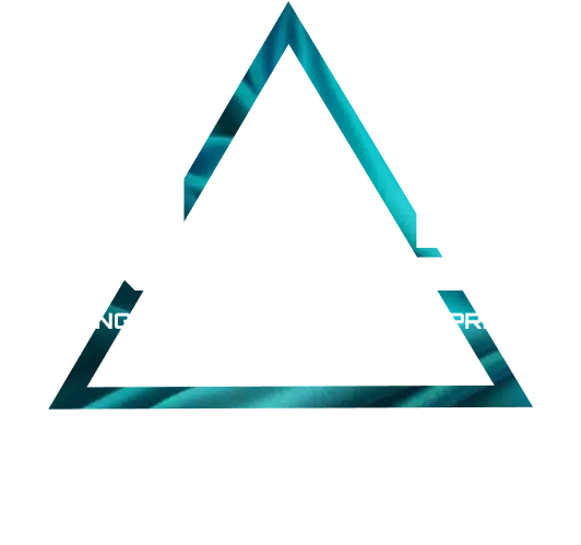 NS5 Logotype large in triangle