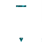 NS5 logotype in triangle